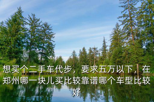 想買個二手車代步，要求五萬以下，在鄭州哪一塊兒買比較靠譜哪個車型比較好