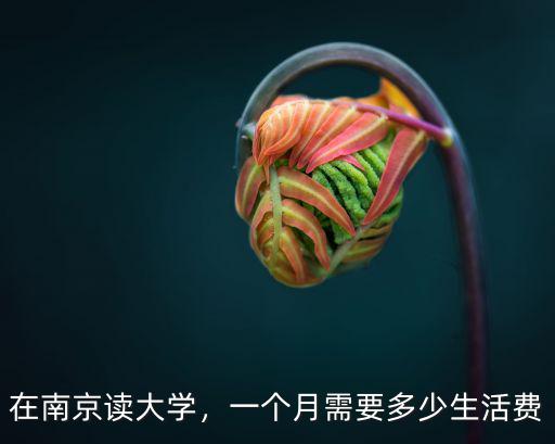 在南京讀大學，一個月需要多少生活費