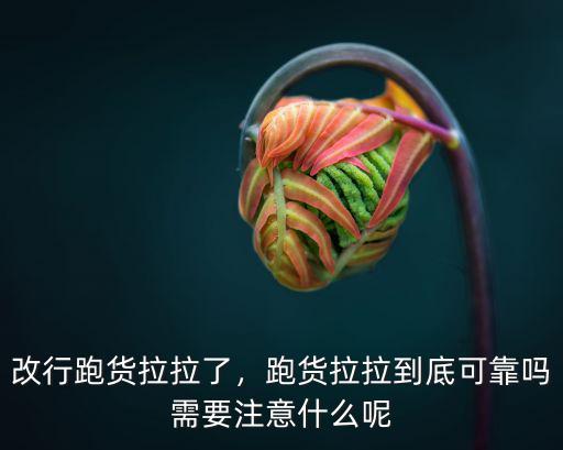 鹽城貨拉拉平臺號碼多少,貨拉拉平臺還能走多遠
