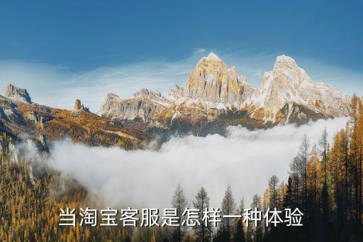 當淘寶客服是怎樣一種體驗