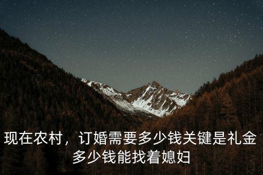 現在農村，訂婚需要多少錢關鍵是禮金多少錢能找著媳婦