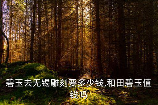 和田碧玉去無錫雕刻要多少錢,和田碧玉值錢嗎