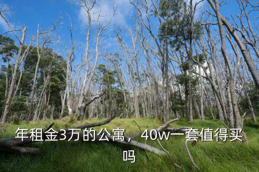 年租金3萬的公寓，40w一套值得買嗎