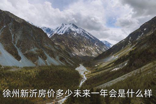 徐州新沂房價多少未來一年會是什么樣