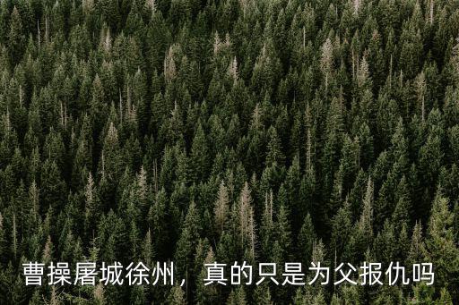 曹操屠城徐州，真的只是為父報仇嗎
