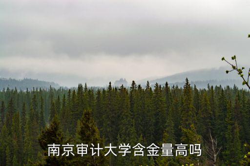 文科排名多少可以進南京審計大學,南京審計大學含金量高嗎