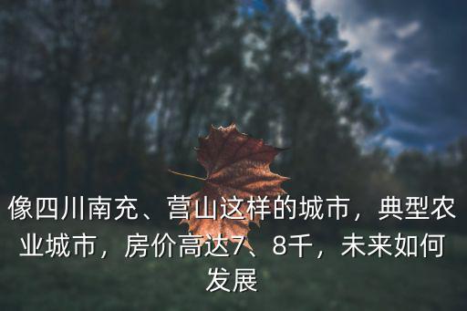 像四川南充、營(yíng)山這樣的城市，典型農(nóng)業(yè)城市，房?jī)r(jià)高達(dá)7、8千，未來如何發(fā)展