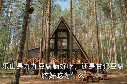 樂山是九九豆腐腦好吃，還是甘記豆腐腦好吃為什么