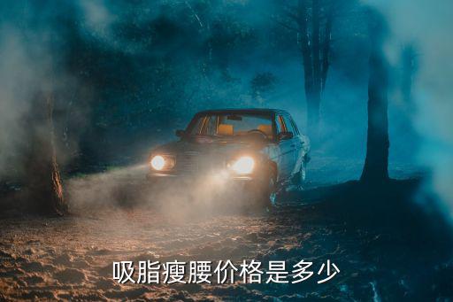 吸脂瘦腰價格是多少