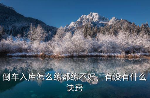 宜賓哪里可以練倒車入庫,倒車入庫怎么練都練不好