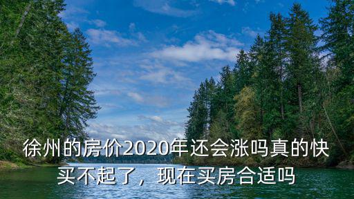 徐州的房價2020年還會漲嗎真的快買不起了，現在買房合適嗎