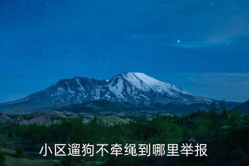 遛狗不拴繩去哪里舉報成都,小區(qū)遛狗不牽繩到哪里舉報