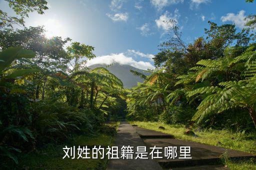 劉姓的祖籍是在哪里
