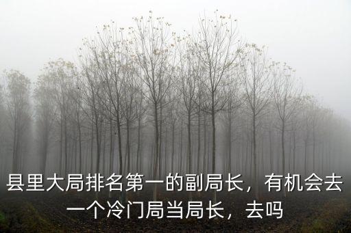 許昌市商務(wù)局有多少副局長,縣里大局排名第一的副局長