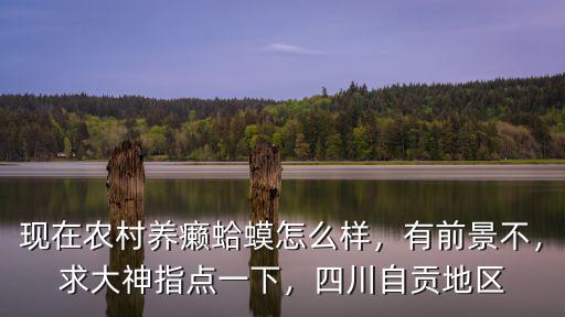 四川哪里有蟾蜍養(yǎng)殖,在農(nóng)村想養(yǎng)殖蟾蜍