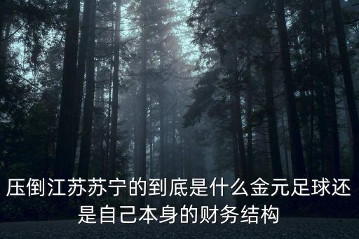 壓倒江蘇蘇寧的到底是什么金元足球還是自己本身的財務結構