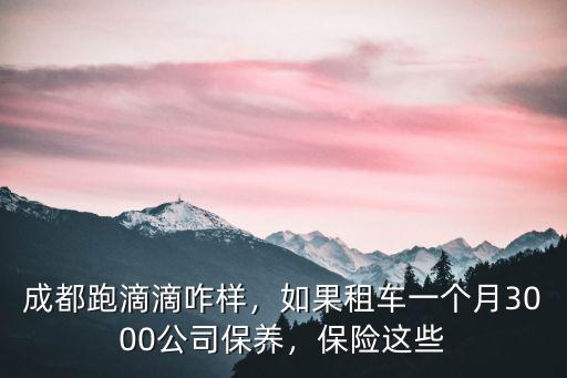 成都跑滴滴咋樣，如果租車一個月3000公司保養，保險這些