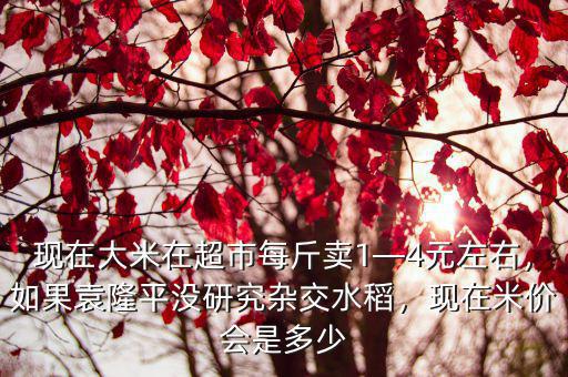 宿遷雜交水稻收購價格現(xiàn)在多少錢,現(xiàn)在米價會是多少