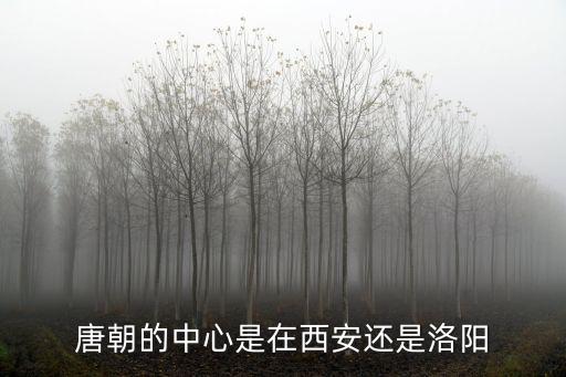 洛陽東都是怎么設計的,洛陽是唐朝的國都嗎