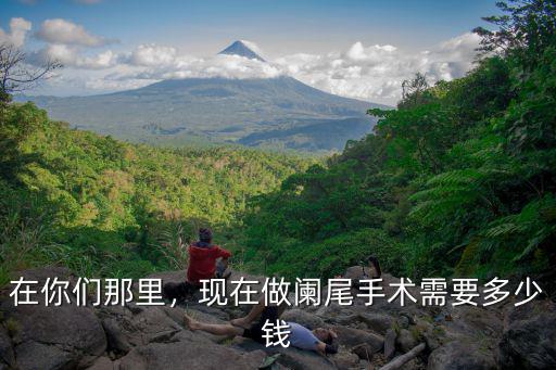無錫三院闌尾炎手術(shù)要多少錢,現(xiàn)在做闌尾手術(shù)需要多少錢