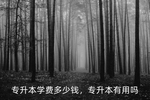 江蘇興國專升本費用大約多少,專升本學費多少錢