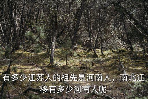 宜陽縣人在蘇州有多少,南北遷移有多少河南人呢