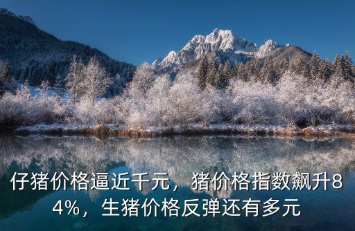 鹽城阜寧仔豬價格是多少錢一斤,今年我國肥豬的價格將是多少