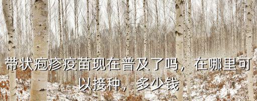 鎮(zhèn)江帶狀皰疹疫苗多少錢一針,上海打皰疹疫苗多少錢