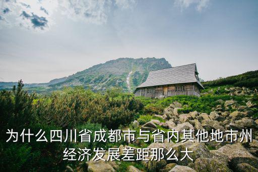 四川民營經濟差距在哪里,差距究竟在哪里