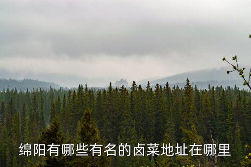 綿陽哪里養的有鴨子,綿陽有哪些有名的鹵菜
