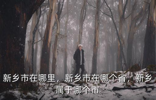新鄉市衛濱區管委會在哪里,新鄉市在哪里
