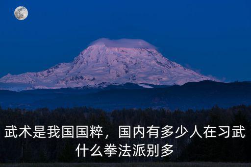 徐州習武有多少人,中國古代練武的人到底有多少