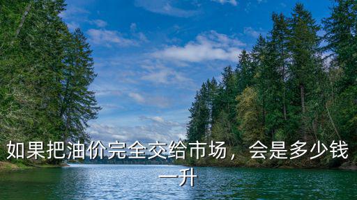 徐州的油價是多少錢一升,如果把油價完全交給市場