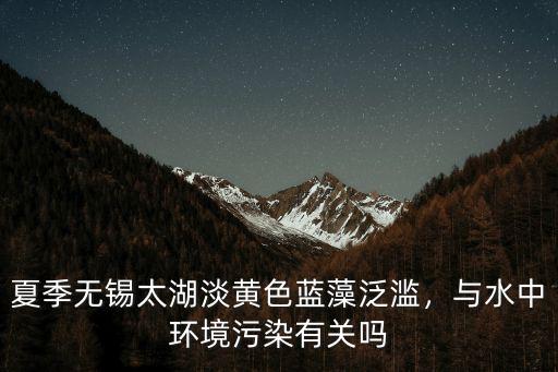 太湖藍藻無錫損失多少,無錫太湖藍藻又出來了