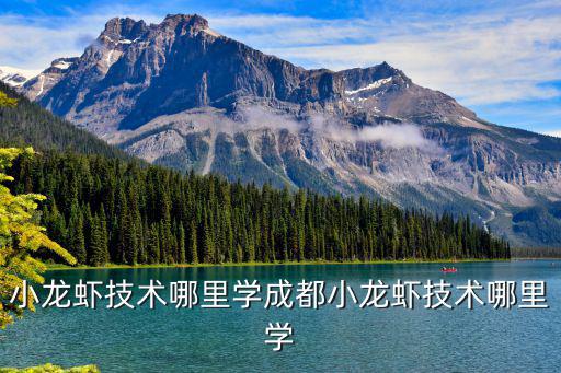 小龍蝦技術哪里學成都小龍蝦技術哪里學