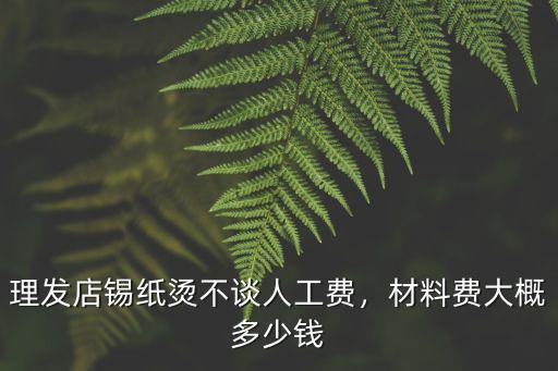 理發店錫紙燙不談人工費，材料費大概多少錢