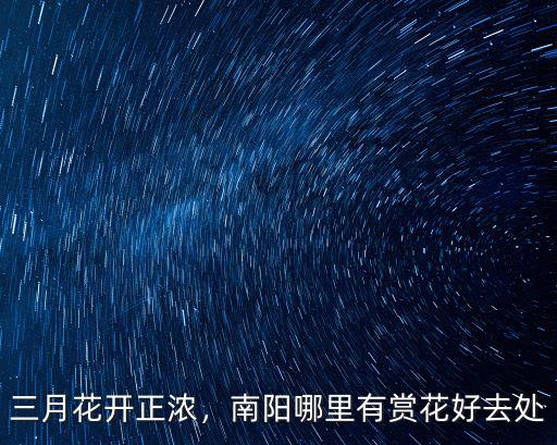 南陽拉布拉多哪里有,南陽哪里有賞花好去處