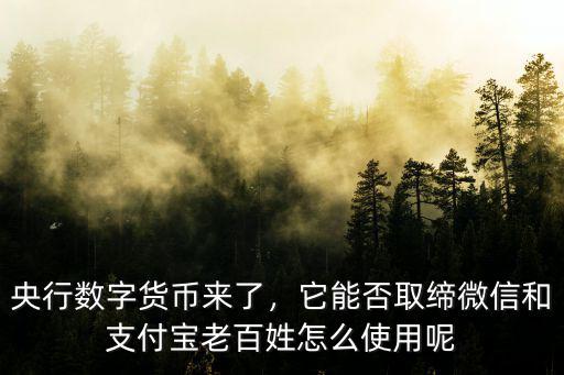 許昌數字貨幣怎么用,央行數字貨幣怎么使用