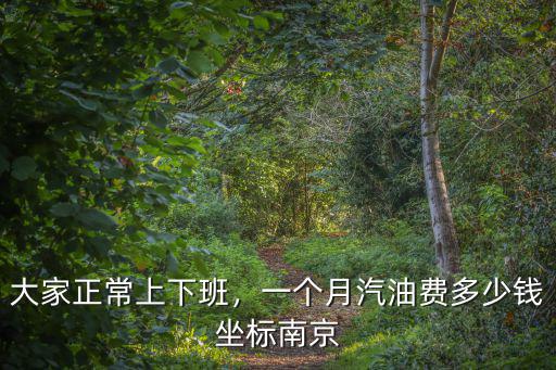 南京德基一天能多少錢,在南京20塊錢能干什么