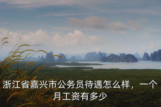 濮陽市稅務的工資怎么樣,現在稅務局的待遇怎么樣