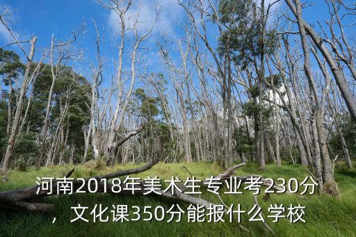 河南美術(shù)生文化課多少分,美術(shù)要考多少分才能上個(gè)二本
