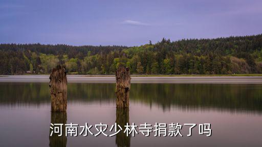少林寺捐款河南水災多少,河南水災少林寺捐款了嗎