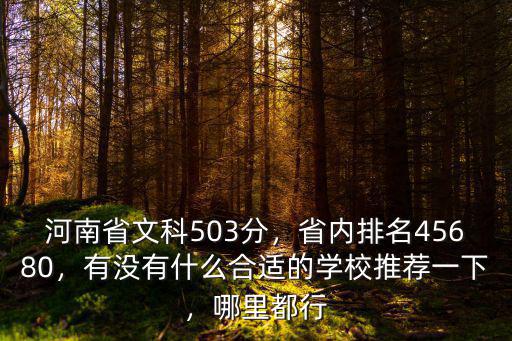 文科417分在河南省排名多少,河南省文科503分