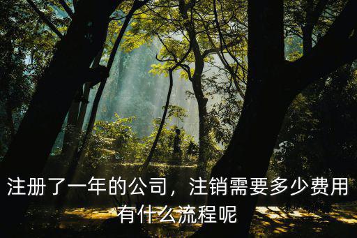 南通注銷公司一般收費多少,注冊了一年的公司