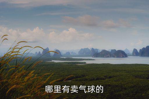 哪里有賣氣球的