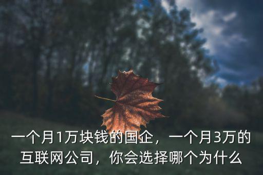 互聯(lián)網(wǎng)多少錢一個(gè)月南通,一個(gè)月1萬(wàn)塊錢的國(guó)企