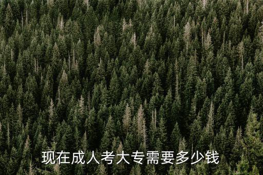 現在成人考大專需要多少錢