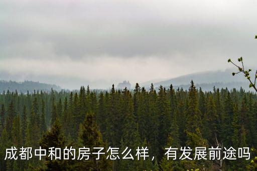 成都哪里的房子有潛力,成都中和的房子怎么樣