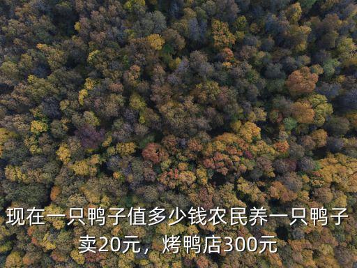 鹽城鴨販多少錢一只,現在一只鴨子值多少錢
