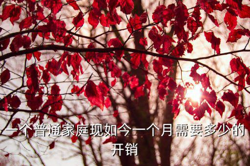 蘇州一般家庭月開銷多少,你們一個月開銷多少